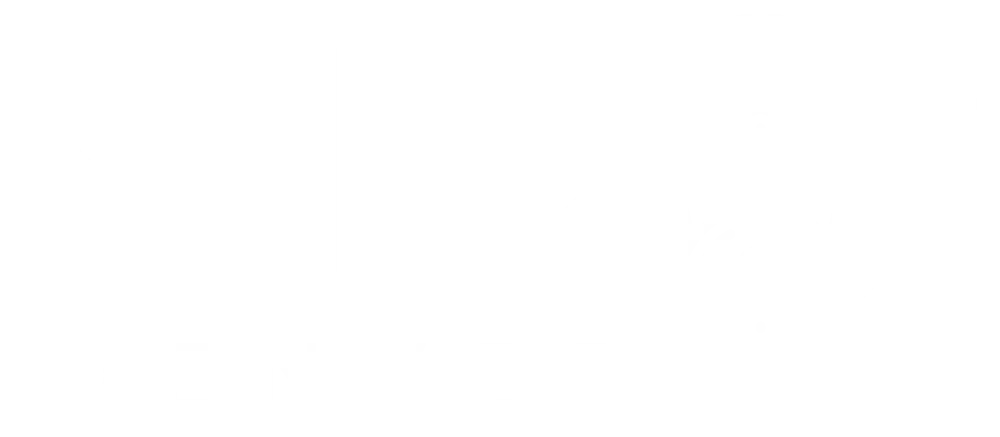 Denver SEO Expert - Logo